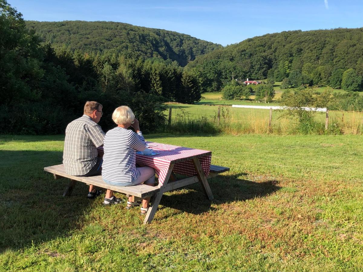 Pensionat Söderåsen Ljungbyhed Exteriör bild